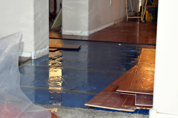 Professional Sewage Cleanup technician working in Idanha, OR